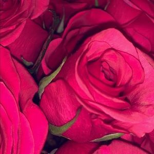 Meet your Posher, Alejandra